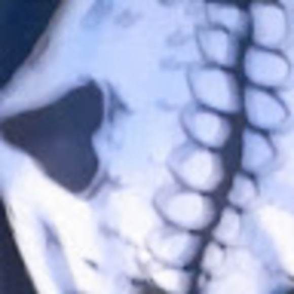 Meet your Posher, Jayden - Picture 1 of 1